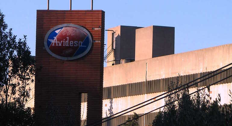 Planta principal de Avidesa
