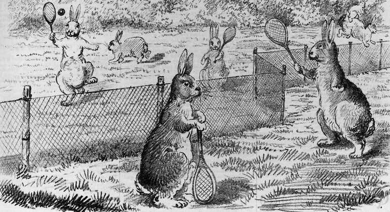 Caricatura de la valla para conejos