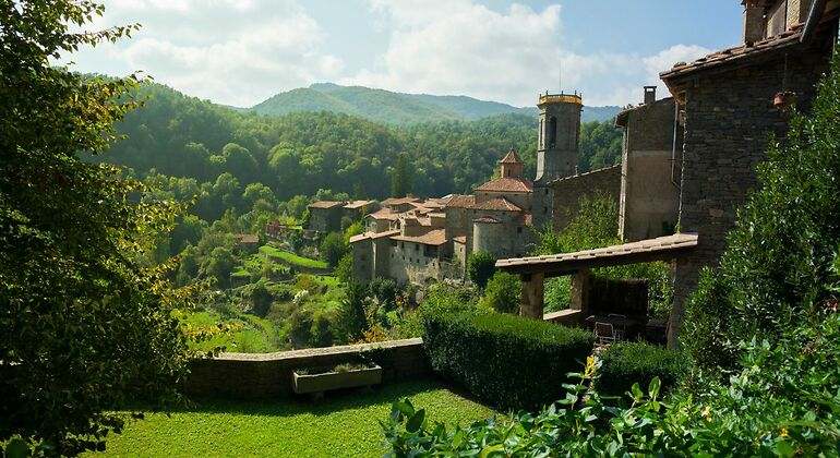 casa junto al bosque