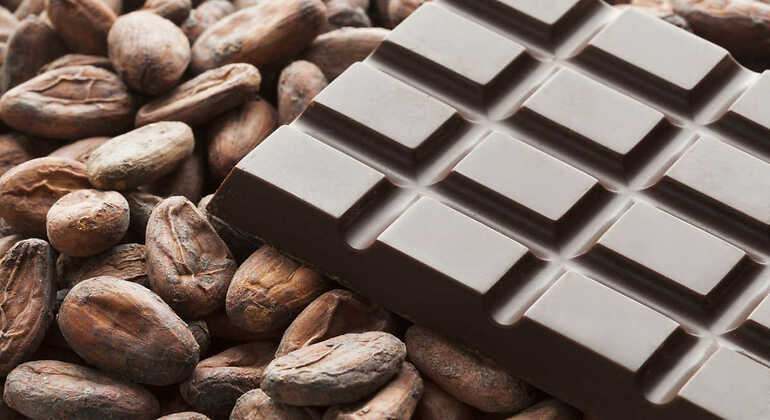 Cacao en granos y en tableta