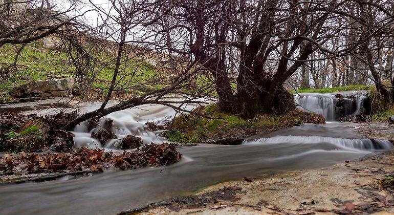 El entorno natural con ríos y árboles en invierno de Cercedilla
