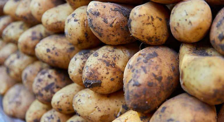 Montón de patatas