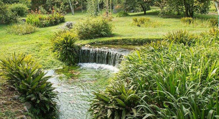 Río que serpentea por el Jardín de Ninfa en Italia