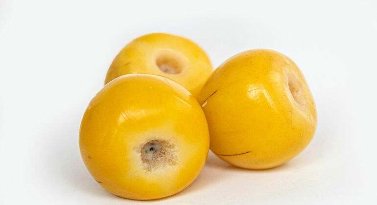 Nances fruta del oro