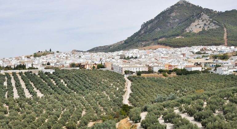 Campos de labranza en rute