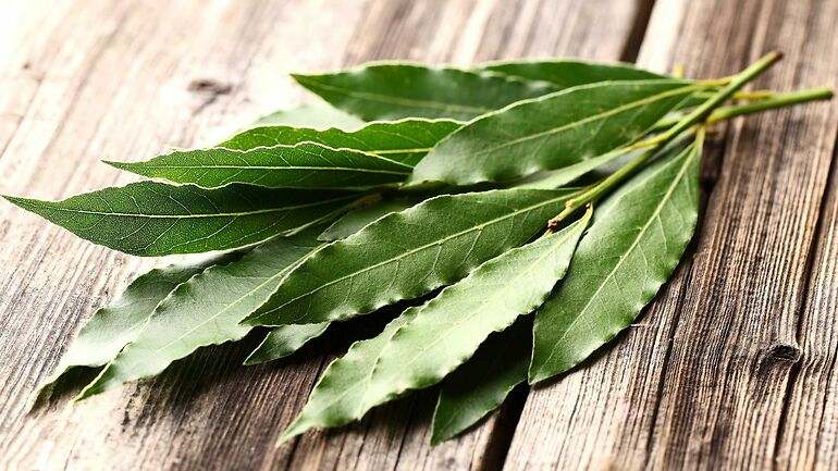 laurel