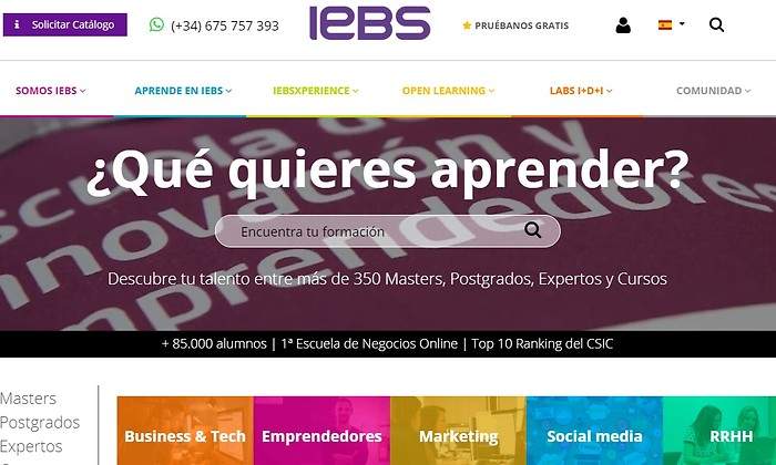 IEBS.jpg