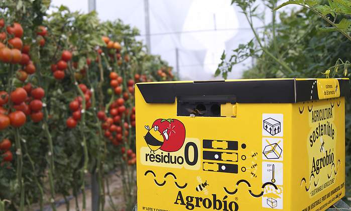 Agrobio-Colmena-abejorros-en-cultivo-tomate.jpg