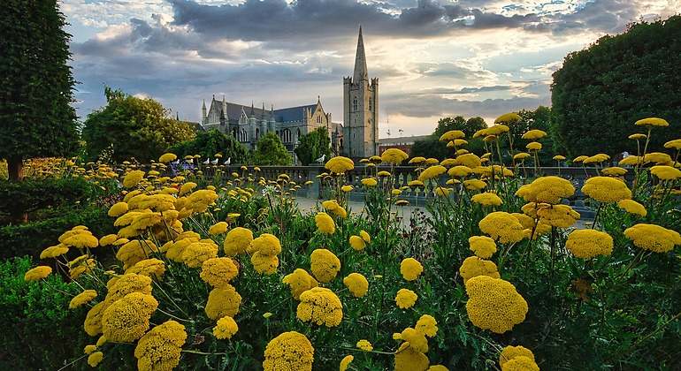 Parque de San Patricio con flores amarillas que rodean a la catedral de la capital en un día nublado