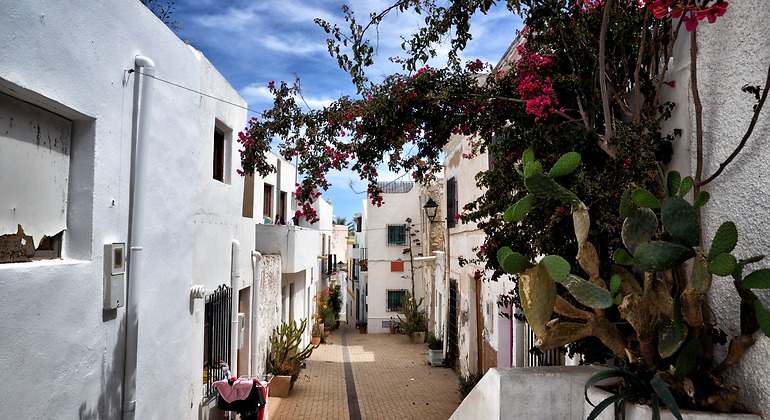 Calles blancas de Níjar con vegetación y flores