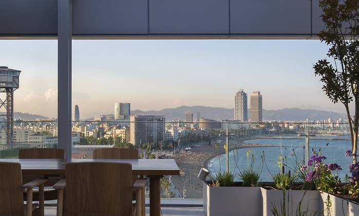 Blue Spot, buena cocina y buenos precios con las mejores 