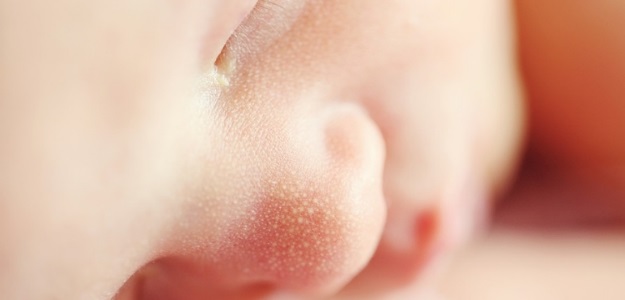bebe-pixabay.jpg