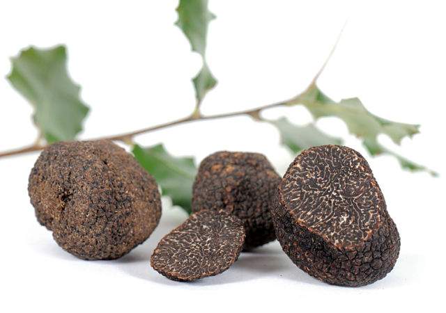 trufas-portada.jpg