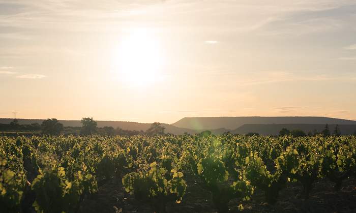 RIOJA_WINE_OMNI-64.jpg