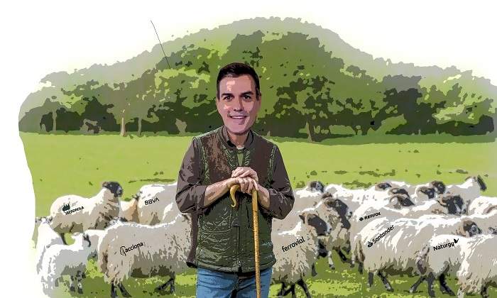 ovejas.jpg