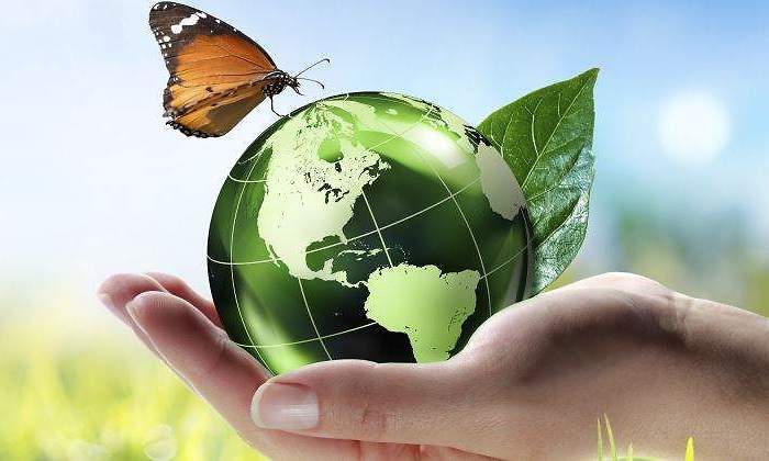 mundo-verde-cambio-climatico-ecologismo-istock.jpg
