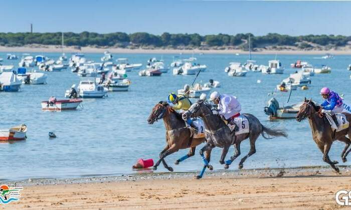 770x420-carreras-caballos-sanlucar-barrameda.jpg