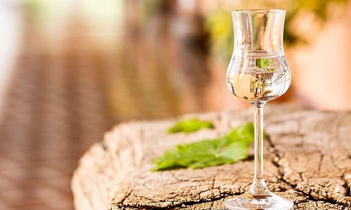 Pisco