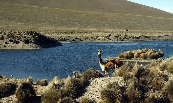 andes.jpg
