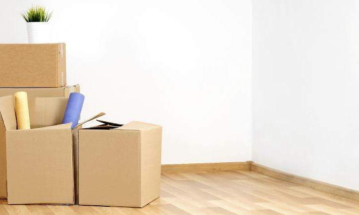 mudanzas-cajas-770.jpg