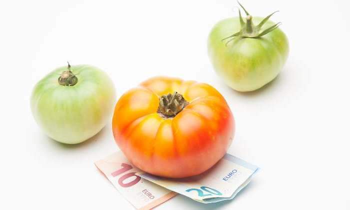 tomates-dinero.jpg