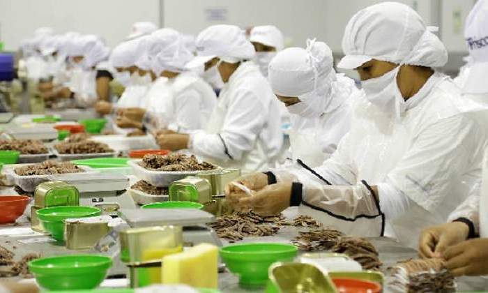 Alimentaria.jpg