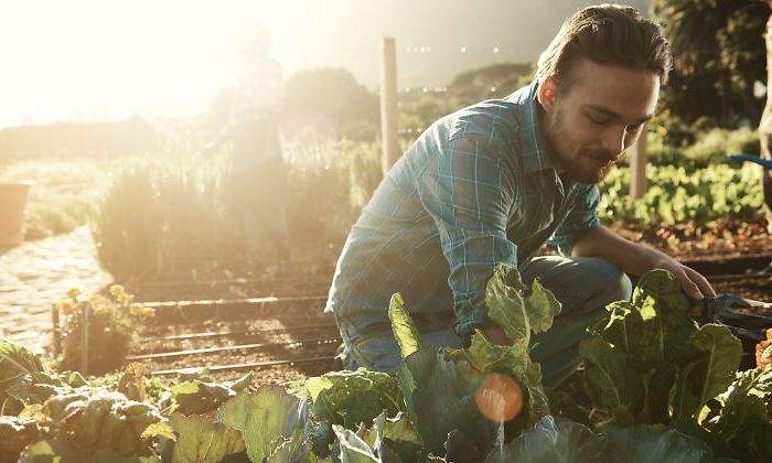 agricultura-ecologica-770-istock.jpg