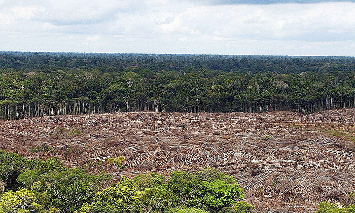 amazonas-reuters.png