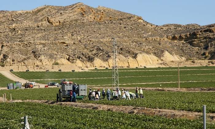 agricultura-espana.jpg