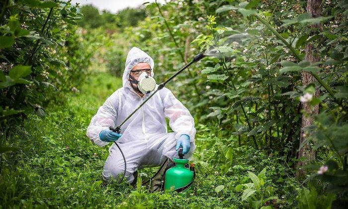cientifico-biologo-quimico-fumigando-plantas-fitosanitarios-istock-770x420.jpg